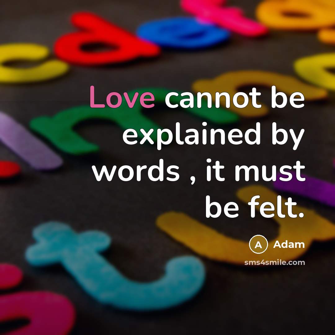 “Love cannot be explained by words , it must be felt.” quote by Adam