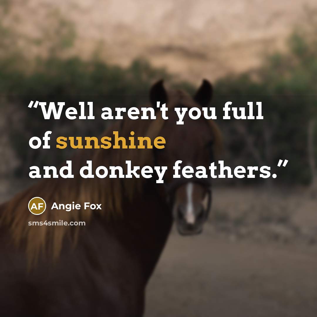 “Well aren't you full of sunshine and donkey feathers.” quote by Angie Fox