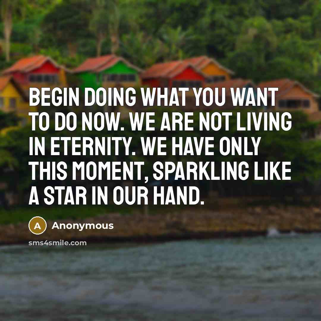 “Begin doing what you want to do now. We are not living in eternity. We have only this moment, sparkling like a star in our hand.” quote by Anonymous