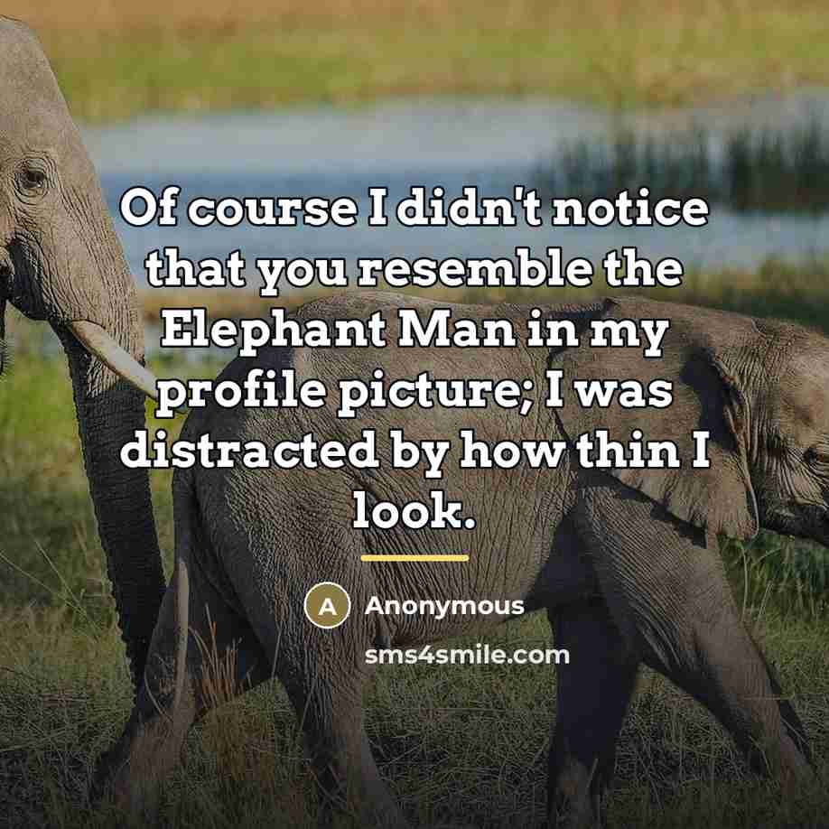“Of course I didn't notice that you resemble the Elephant…” quote by Anonymous