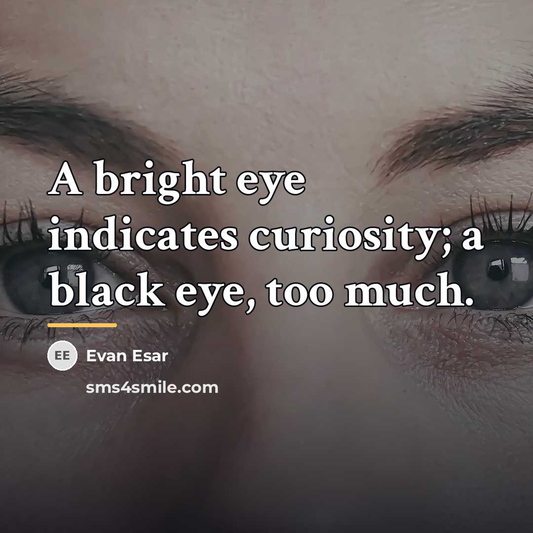 “A bright eye indicates curiosity; a black eye, too much.…” quote by Evan Esar
