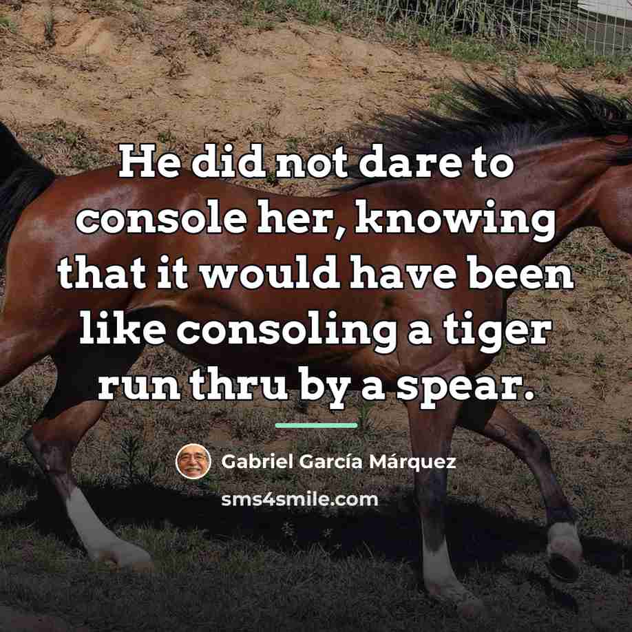 “He did not dare to console her, knowing that it…” quote by Gabriel Garcia Marquez
