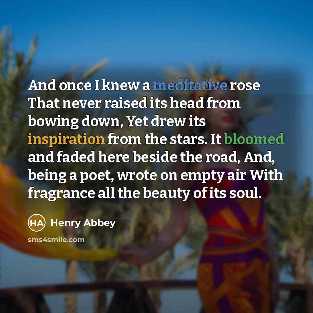 “And once I knew a meditative rose That never raised…” quote by Henry Abbey