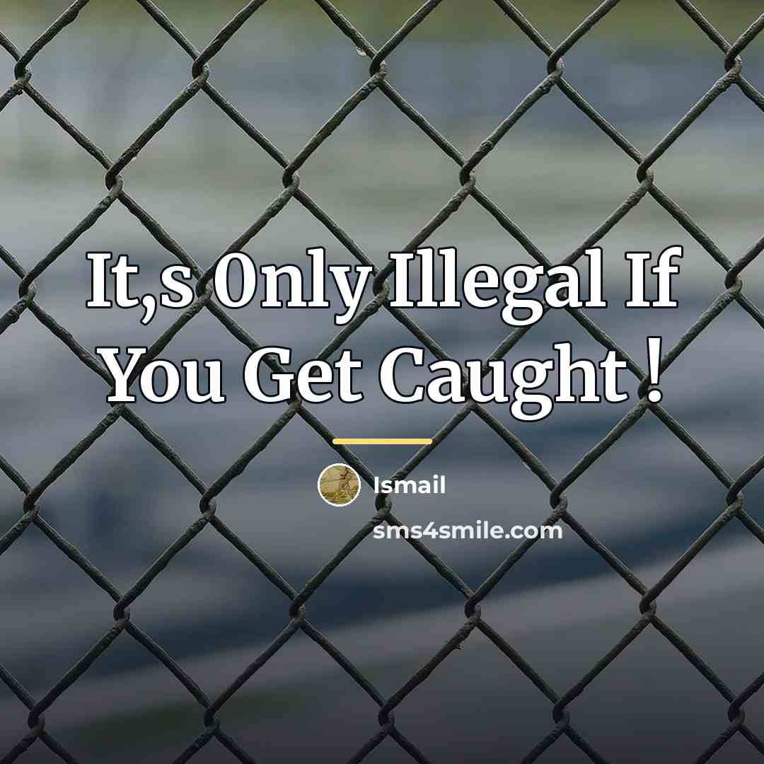 “It,s 0nly Illegal If You Get Caught !…” quote by Ismail