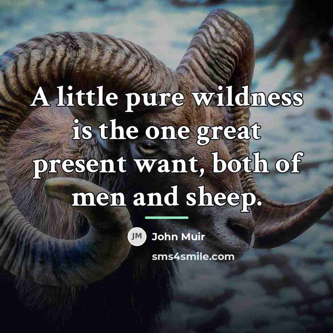 “A little pure wildness is the one great present want,…” quote by John Muir