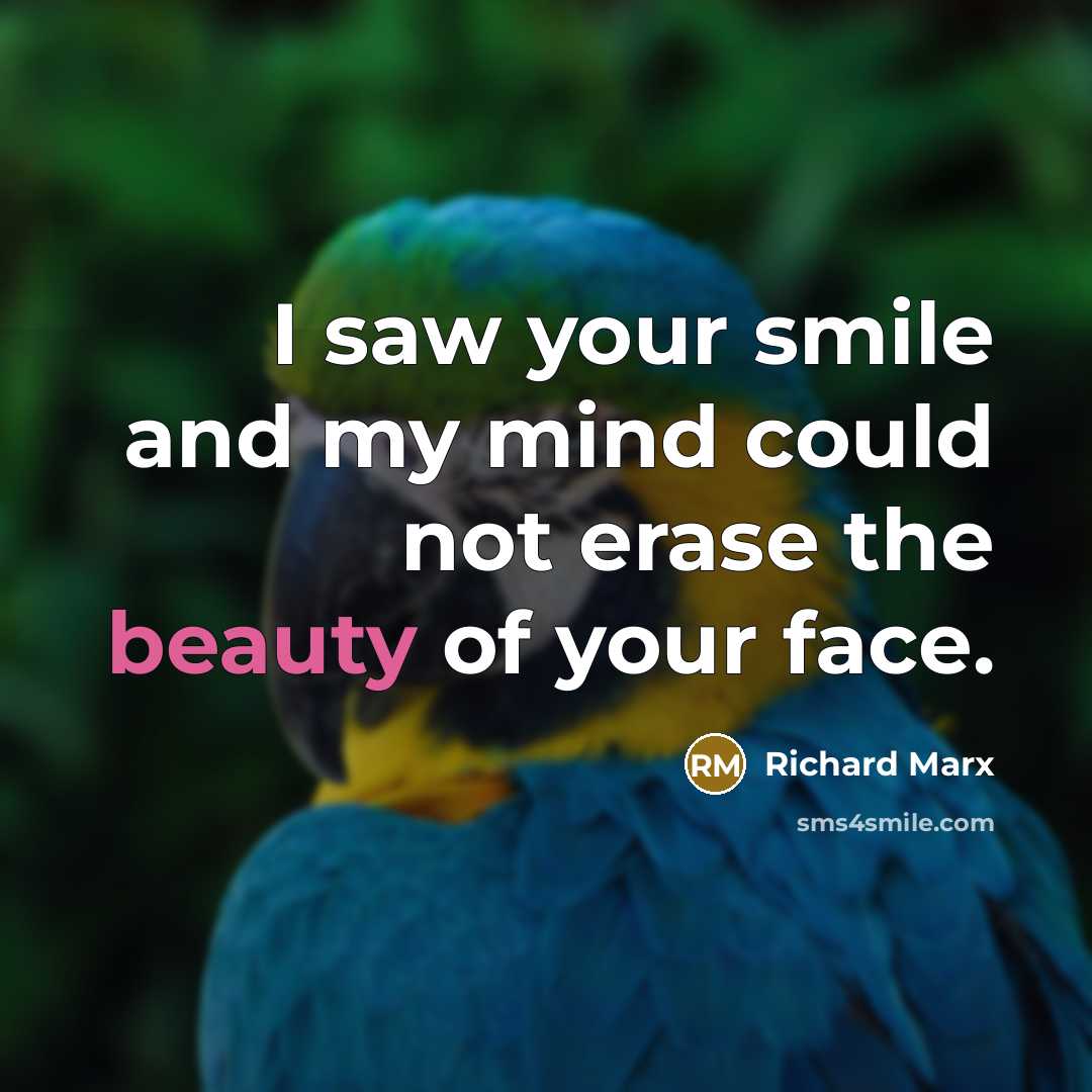 “I saw your smile and my mind could not erase…” quote by Richard Marx