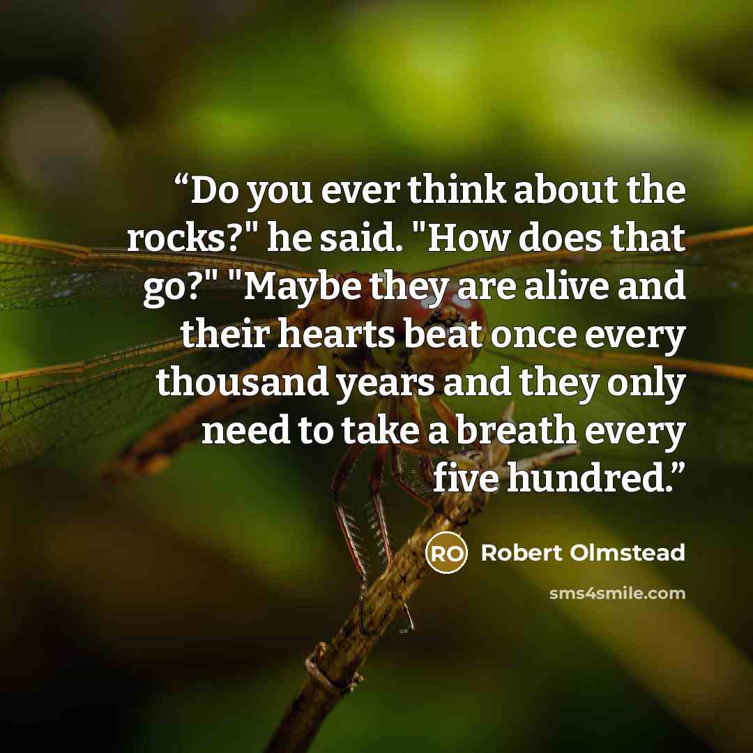 “Do you ever think about the rocks?" he said. "How does that go?" "Maybe they are alive and their hearts beat once every thousand years and they only need to take a breath every five hundred.” quote by Robert Olmstead