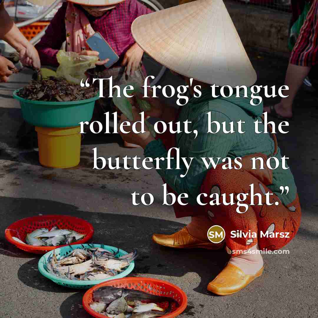 “The frog's tongue rolled out, but the butterfly was not to be caught.” quote by Silvia Marsz