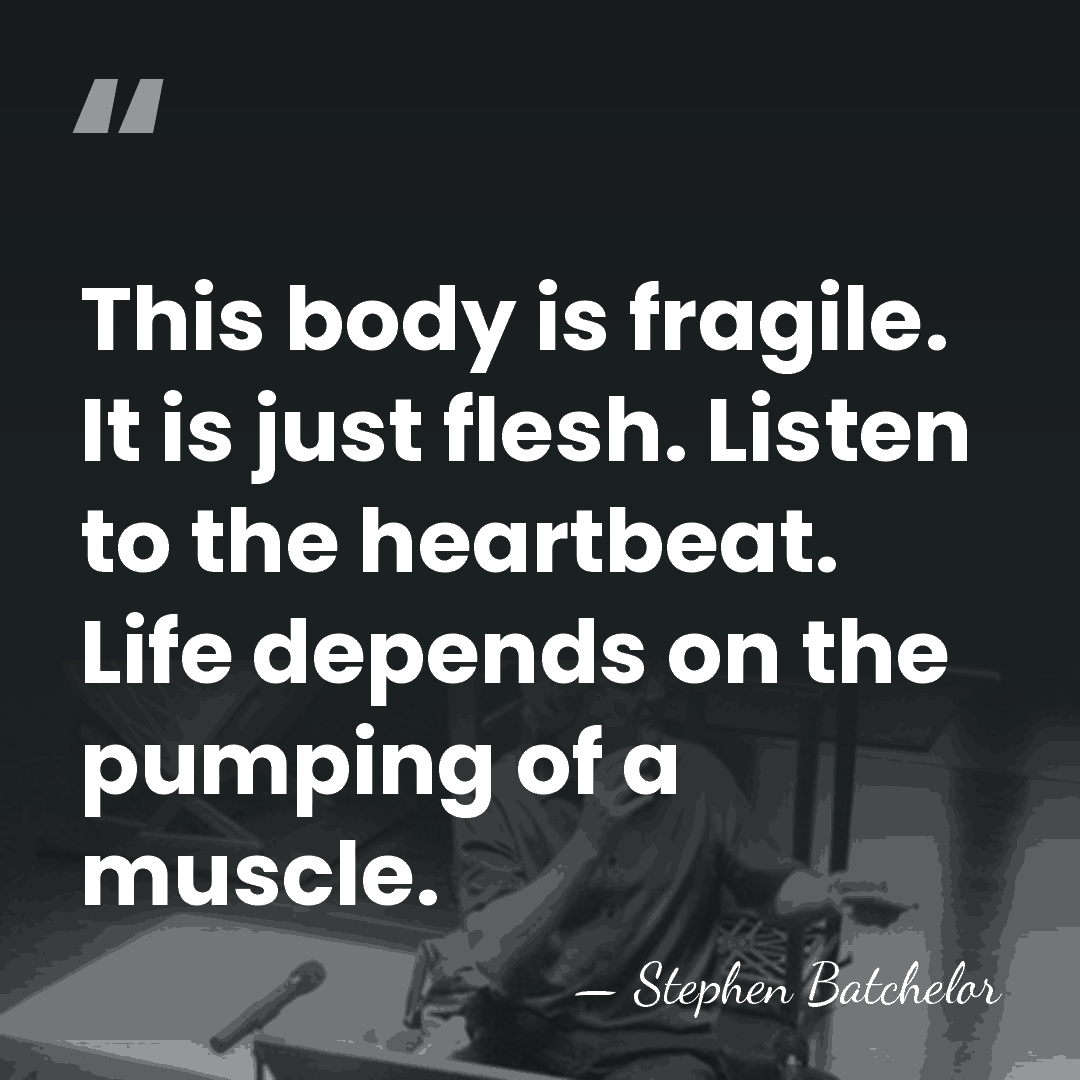 This body is fragile. It is just flesh. Listen to the heartbeat.&hellip; - Stephen Batchelor