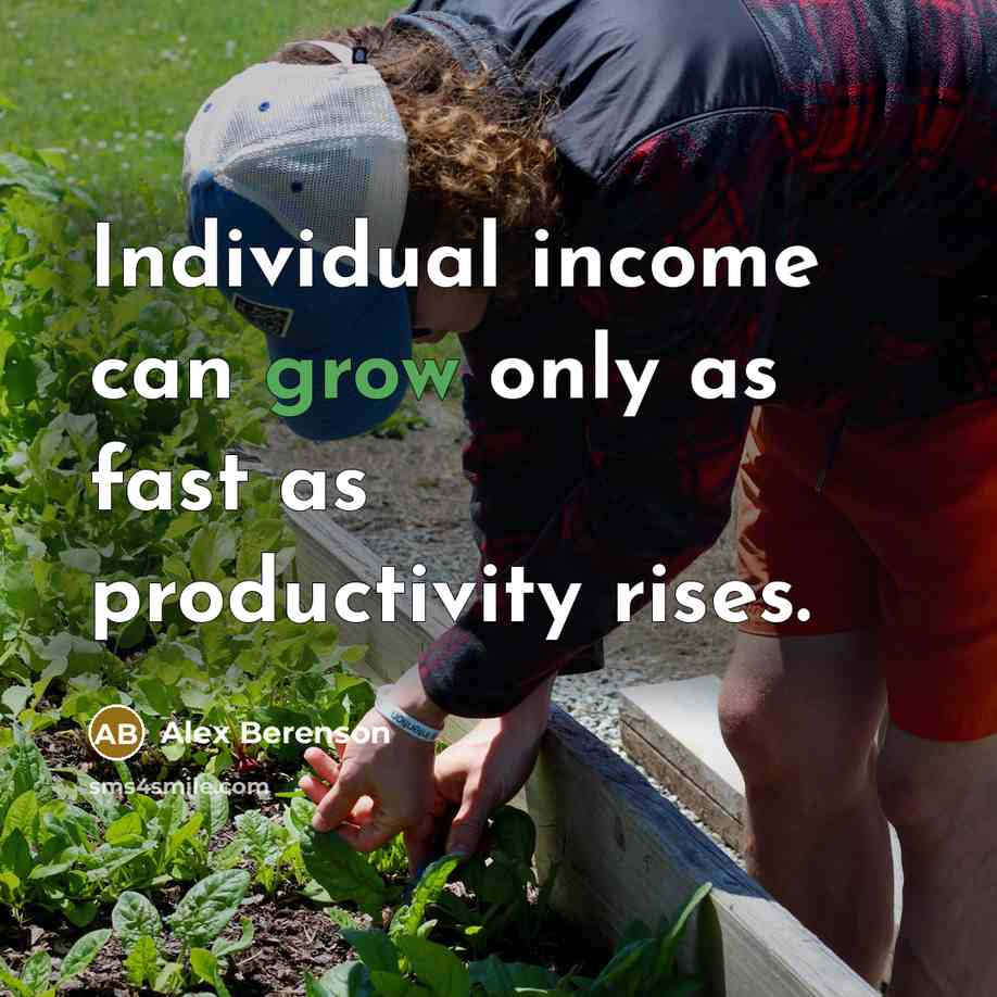 “Individual income can grow only as fast as productivity rises.…” quote by Alex Berenson