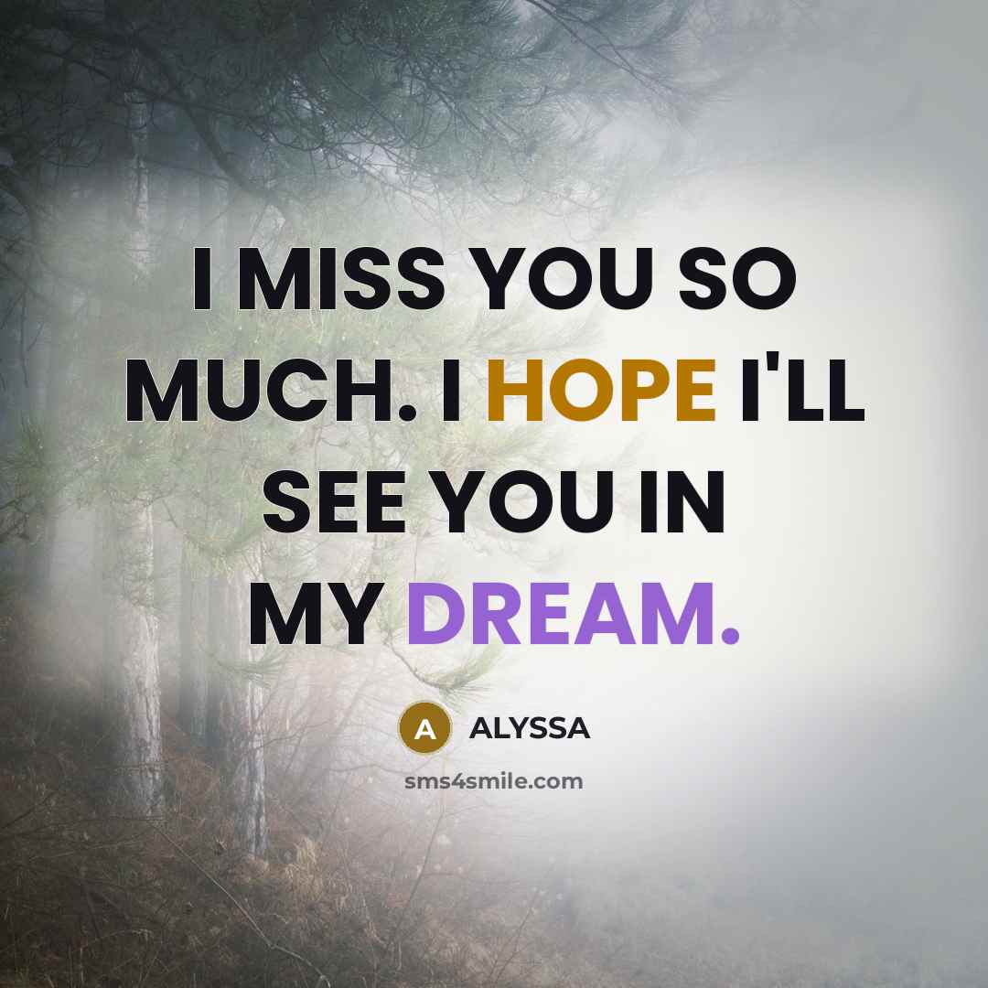 “I MISS YOU SO MUCH. I HOPE I'LL SEE YOU…” quote by ALYSSA