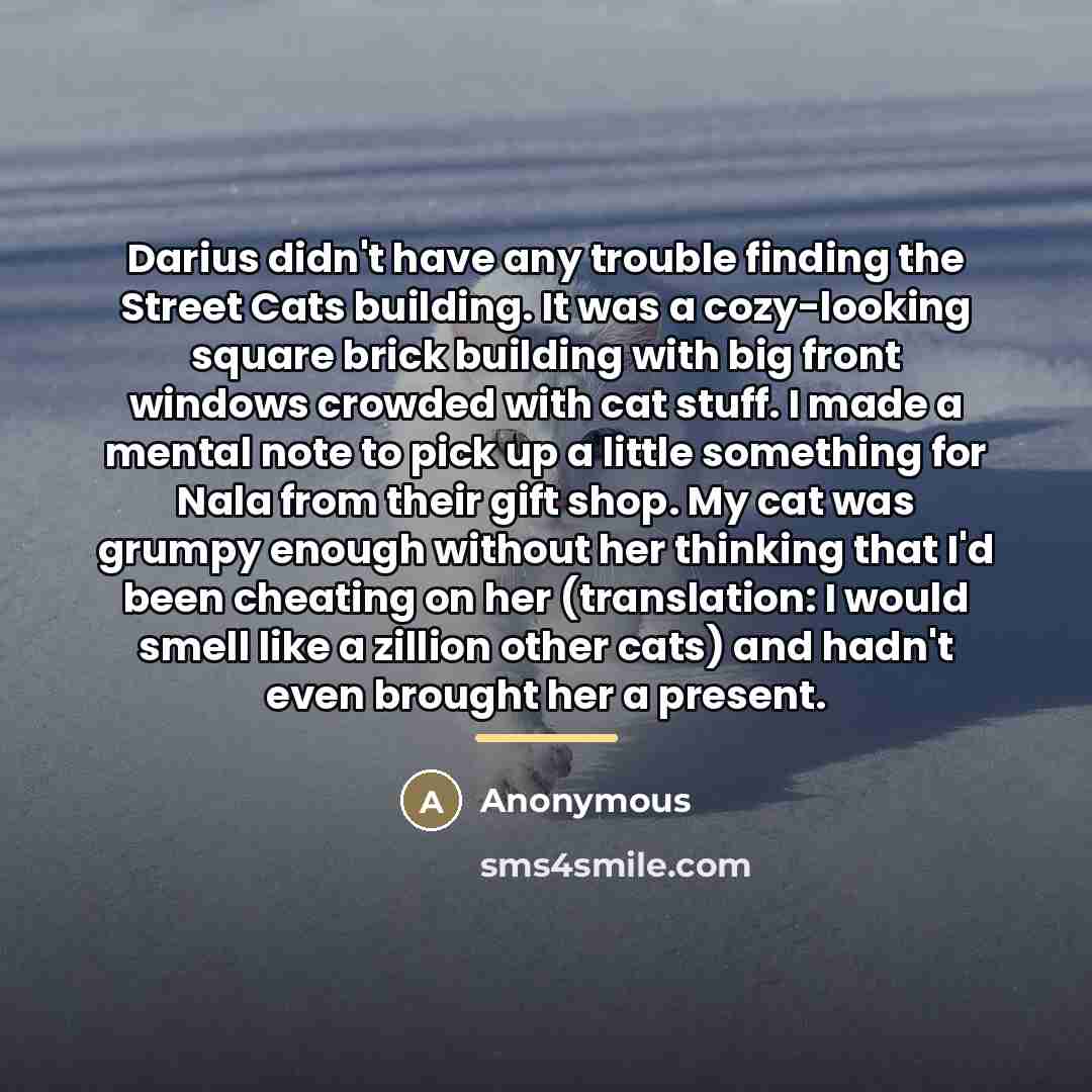 “Darius didn't have any trouble finding the Street Cats building.…” quote by Anonymous