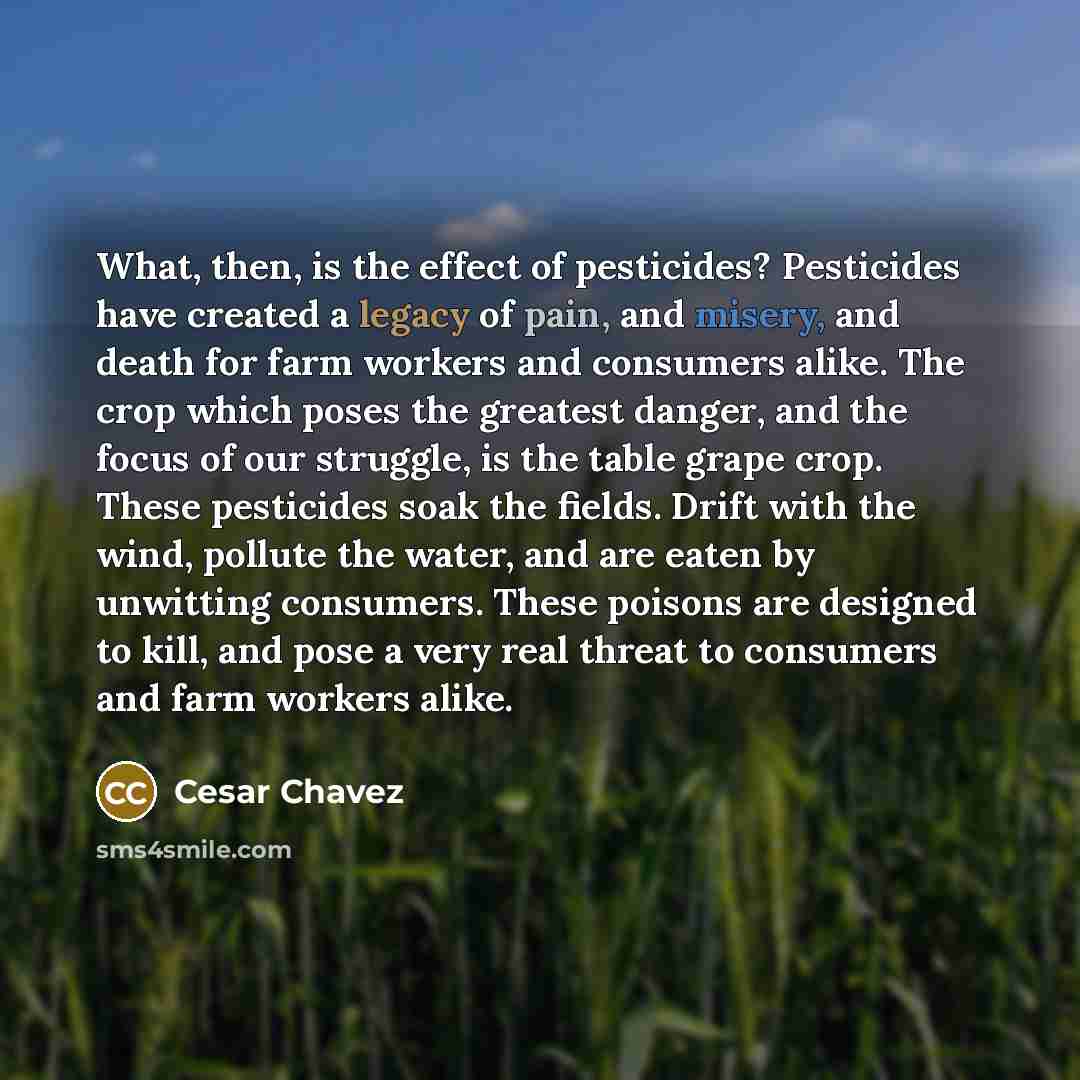 “What, then, is the effect of pesticides? Pesticides have created…” quote by Cesar Chavez