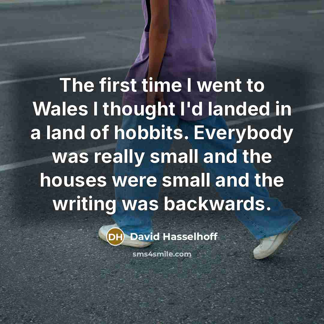“The first time I went to Wales I thought I'd…” quote by David Hasselhoff