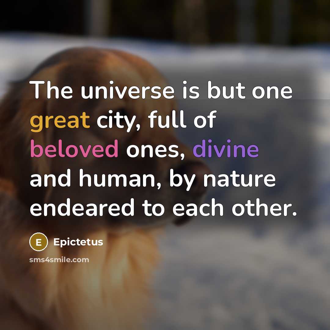 “The universe is but one great city, full of beloved…” quote by Epictetus