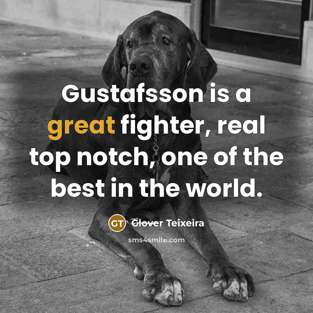 “Gustafsson is a great fighter, real top notch, one of…” quote by Glover Teixeira