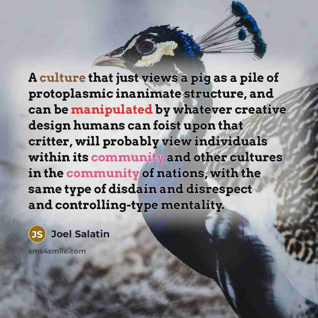 “A culture that just views a pig as a pile of protoplasmic inanimate structure, and can be manipulated by whatever creative design humans can foist upon that critter, will probably view individuals within its community and other cultures in the community of nations, with the same type of disdain…” quote by Joel Salatin