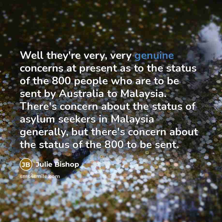 “Well they're very, very genuine concerns at present as to…” quote by Julie Bishop
