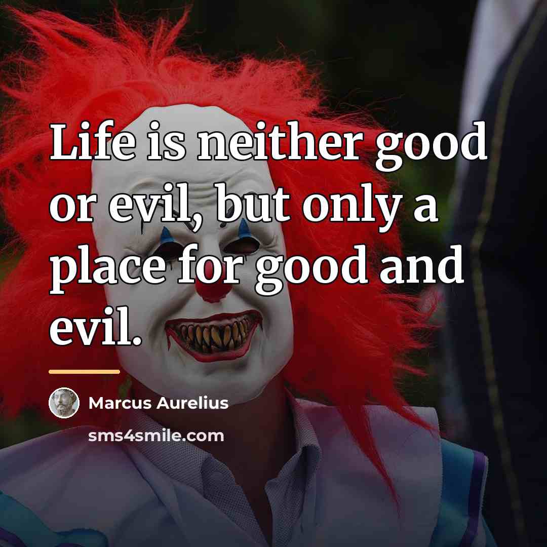 “Life is neither good or evil, but only a place…” quote by Marcus Aurelius