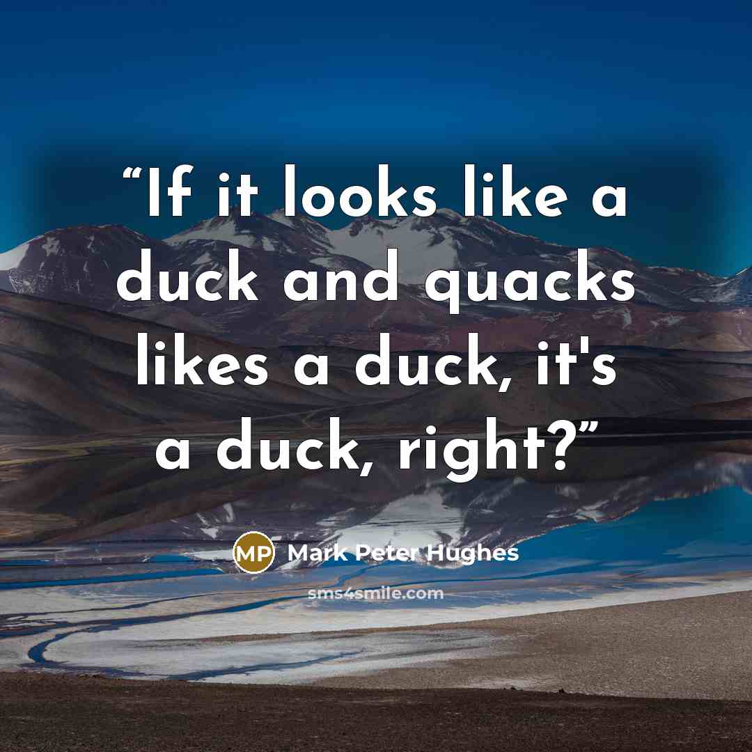 “If it looks like a duck and quacks likes a duck, it's a duck, right?” quote by Mark Peter Hughes