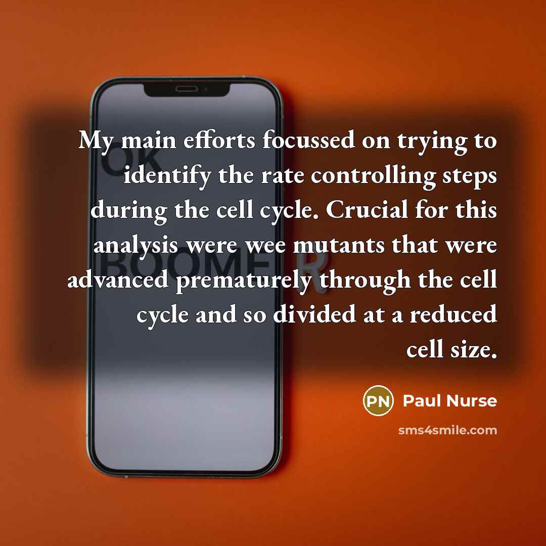 “My main efforts focussed on trying to identify the rate…” quote by Paul Nurse