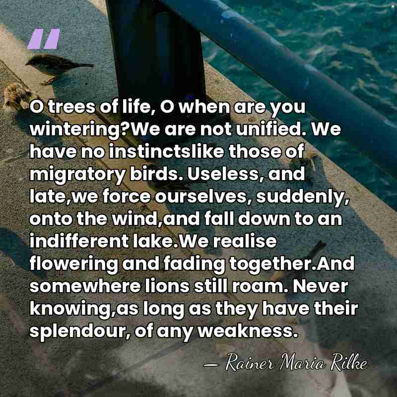 O trees of life, O when are you wintering?We are not unified.&hellip; - Rainer Maria Rilke