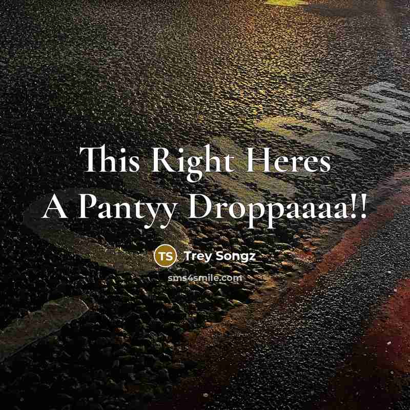“This Right Heres A Pantyy Droppaaaa!!…” quote by Trey Songz