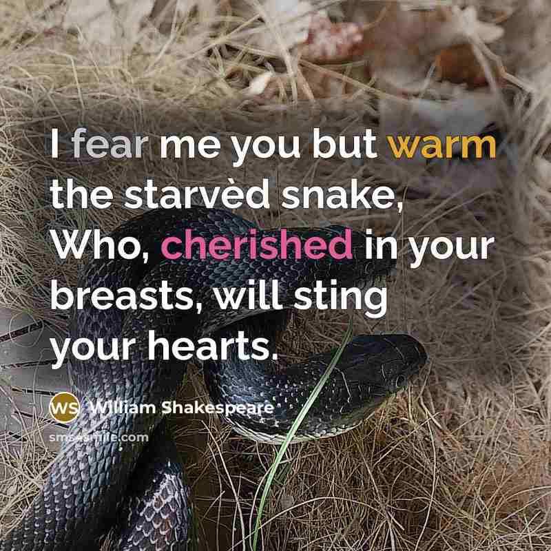 “I fear me you but warm the starvèd snake, Who,…” quote by William Shakespeare