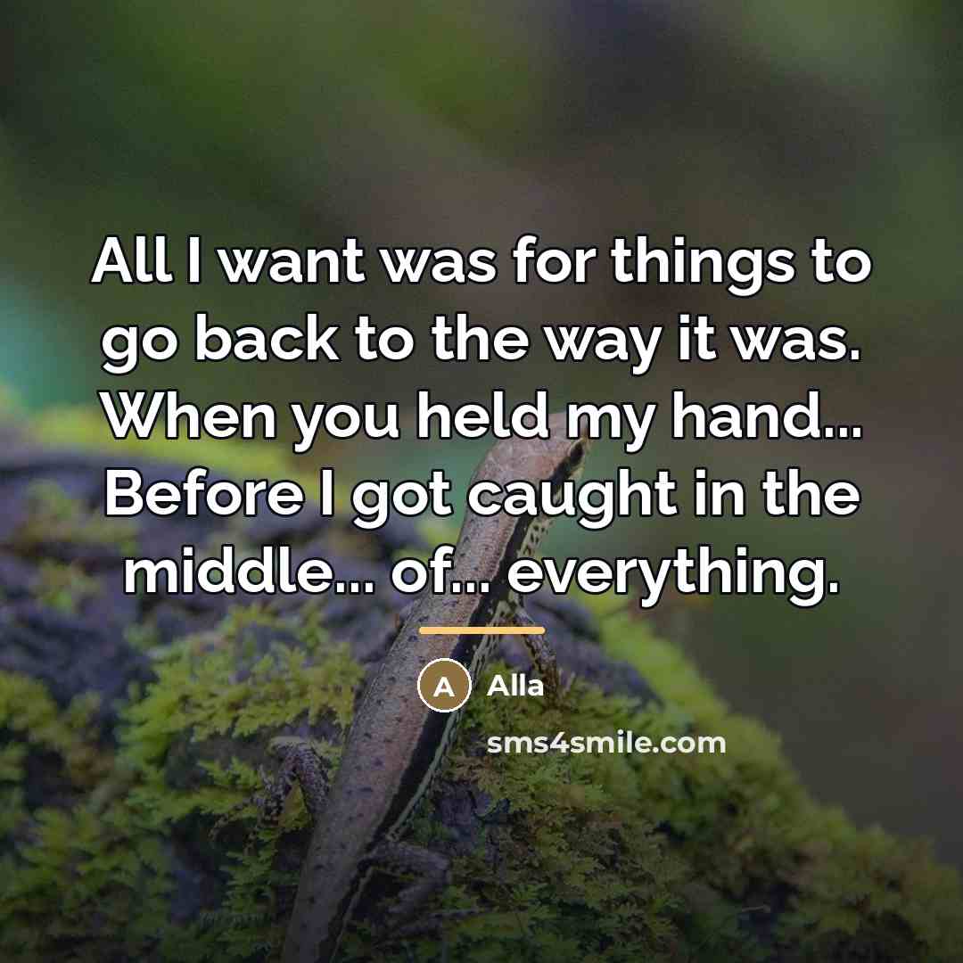 “All I want was for things to go back to…” quote by Alla