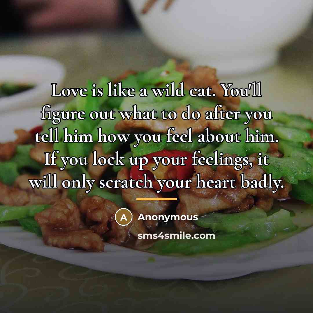“Love is like a wild cat. You'll figure out what…” quote by Anonymous