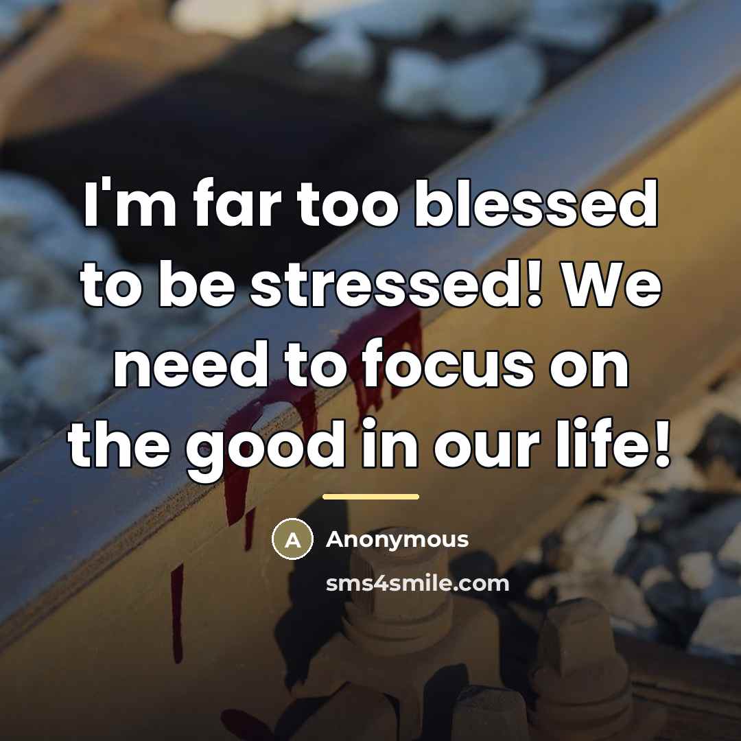 “I'm far too blessed to be stressed! We need to…” quote by Anonymous