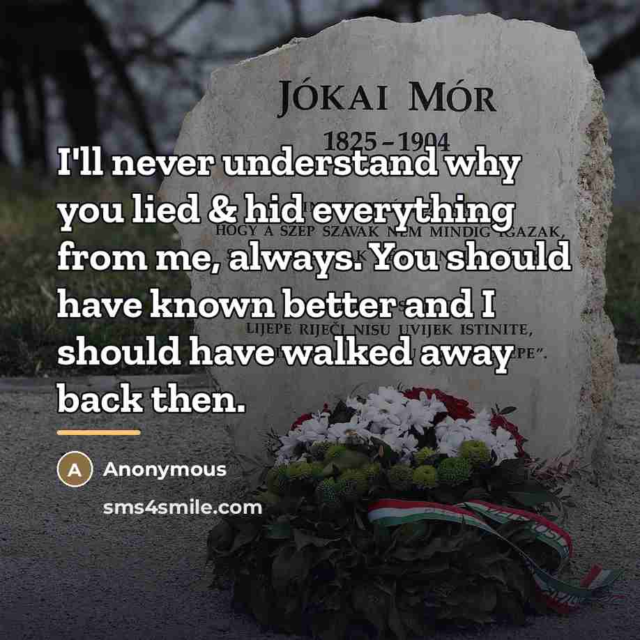 “I'll never understand why you lied & hid everything from…” quote by Anonymous