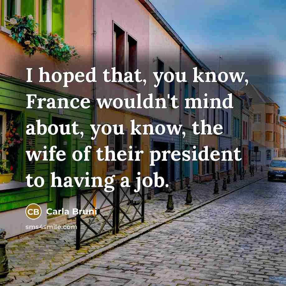 “I hoped that, you know, France wouldn't mind about, you…” quote by Carla Bruni