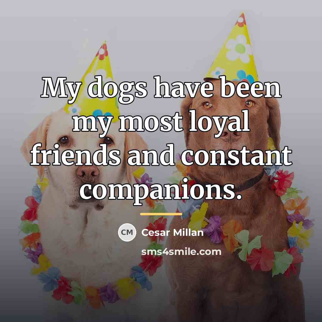 “My dogs have been my most loyal friends and constant…” quote by Cesar Millan