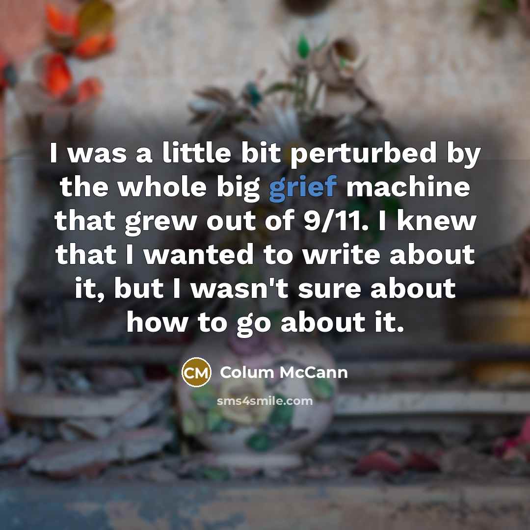 “I was a little bit perturbed by the whole big…” quote by Colum McCann