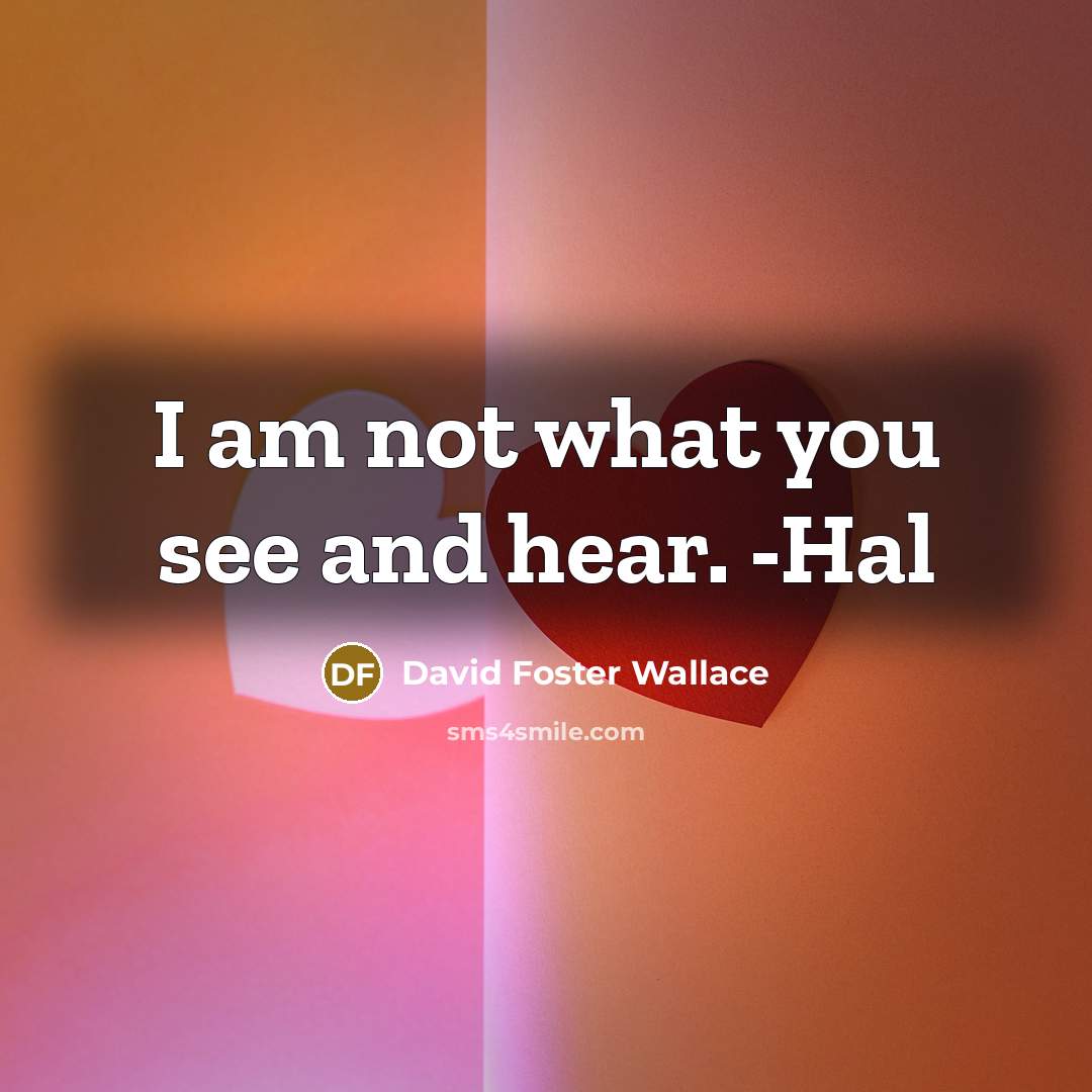 “I am not what you see and hear. -Hal…” quote by David Foster Wallace