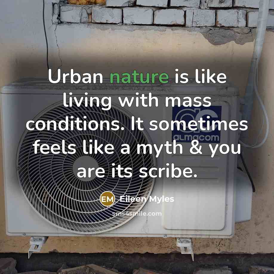 “Urban nature is like living with mass conditions. It sometimes…” quote by Eileen Myles