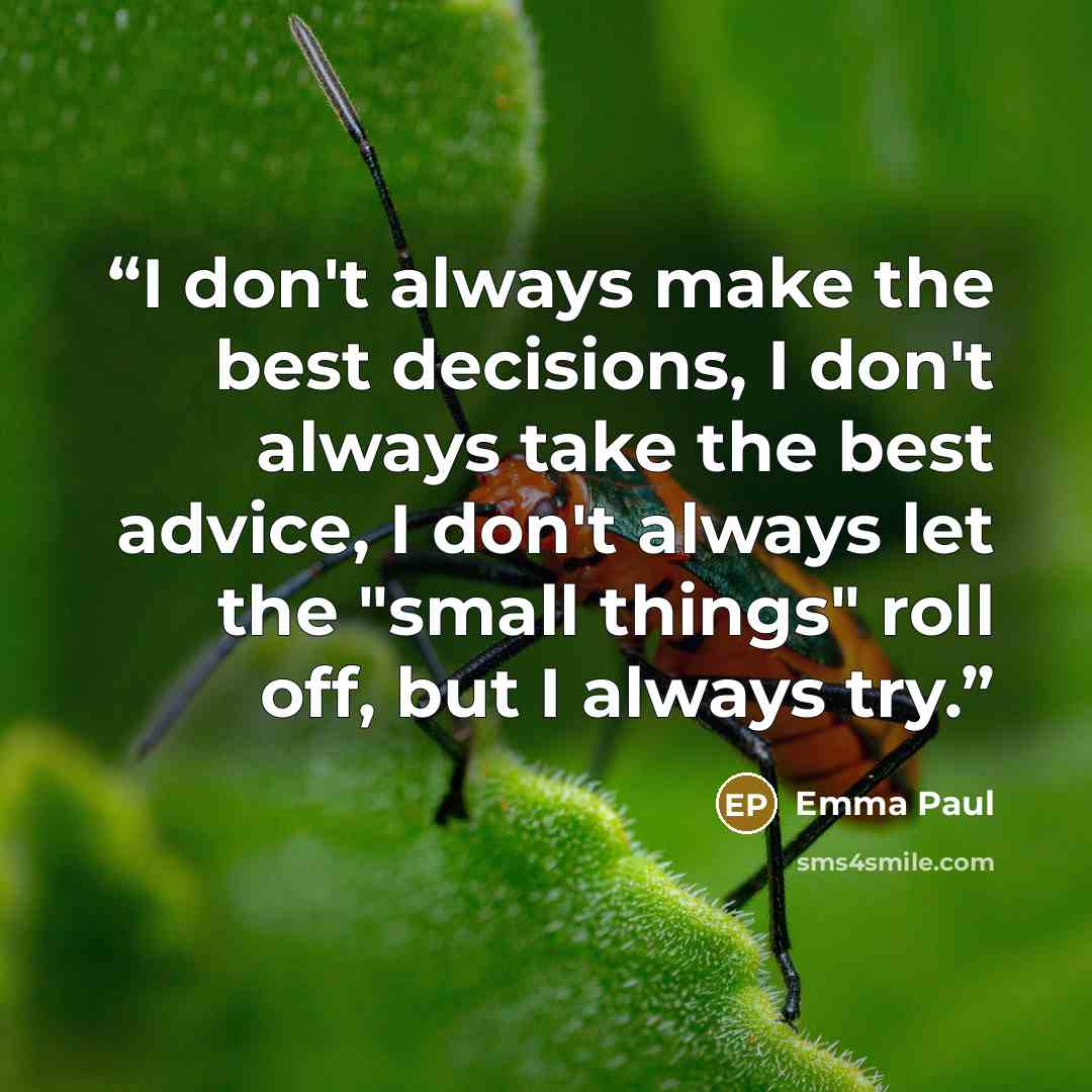 “I don't always make the best decisions, I don't always take the best advice, I don't always let the "small things" roll off, but I always try.” quote by Emma Paul
