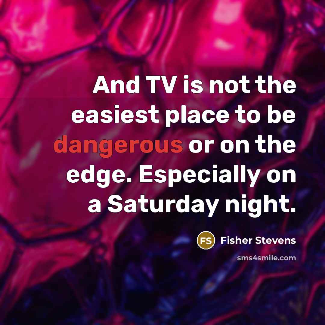 “And TV is not the easiest place to be dangerous…” quote by Fisher Stevens