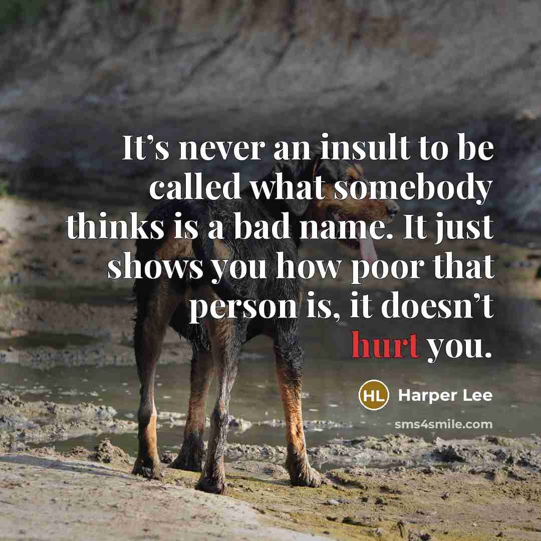 “It’s never an insult to be called what somebody thinks…” quote by Harper Lee