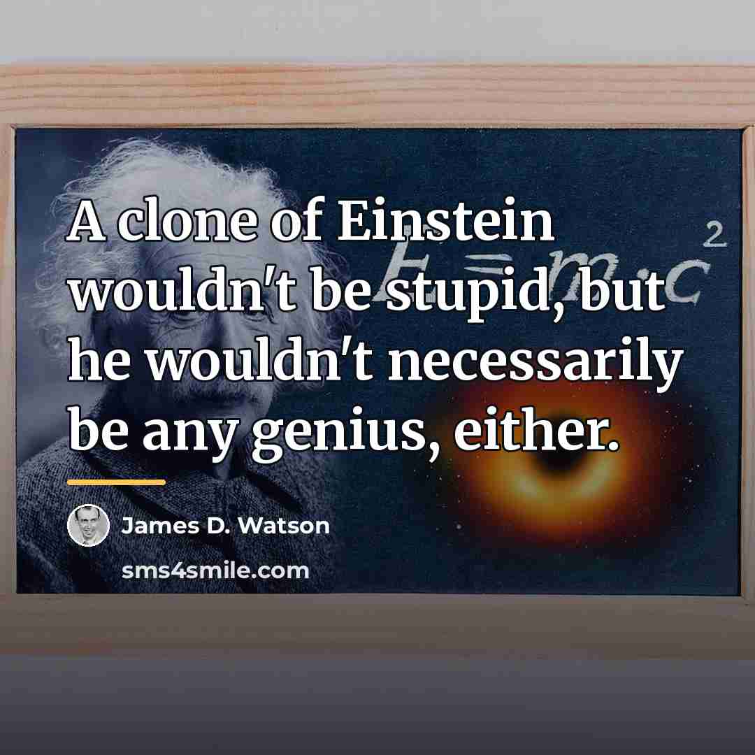 “A clone of Einstein wouldn't be stupid, but he wouldn't…” quote by James D. Watson