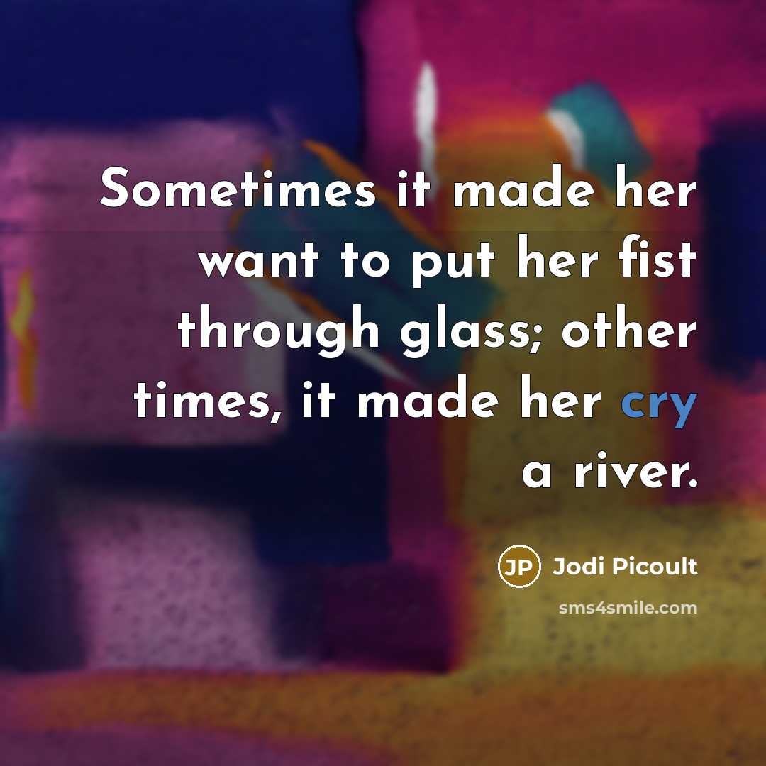 “Sometimes it made her want to put her fist through…” quote by Jodi Picoult