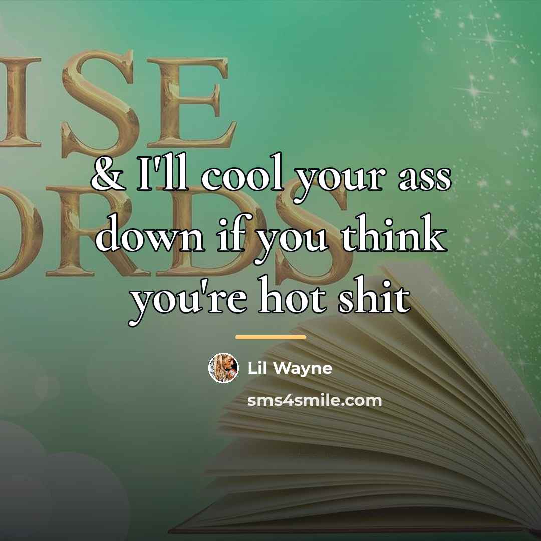 “& I'll cool your ass down if you think you're…” quote by Lil Wayne