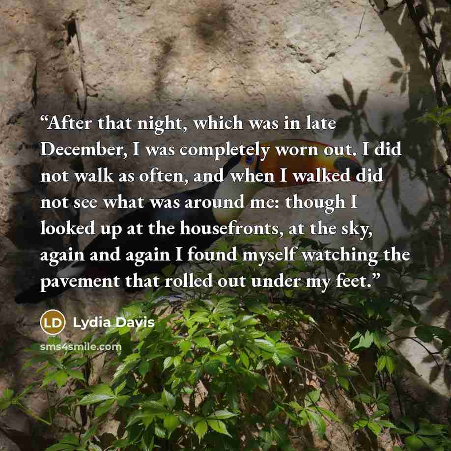 “After that night, which was in late December, I was completely worn out. I did not walk as often, and when I walked did not see what was around me: though I looked up at the housefronts, at the sky, again and again I found myself watching the pavement that rolled out under my feet.” quote by Lydia Davis