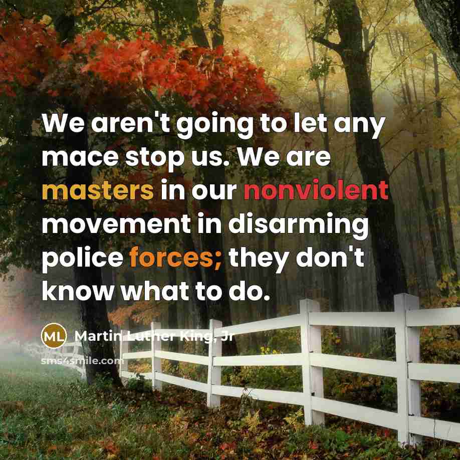 “We aren't going to let any mace stop us. We…” quote by Martin Luther King, Jr