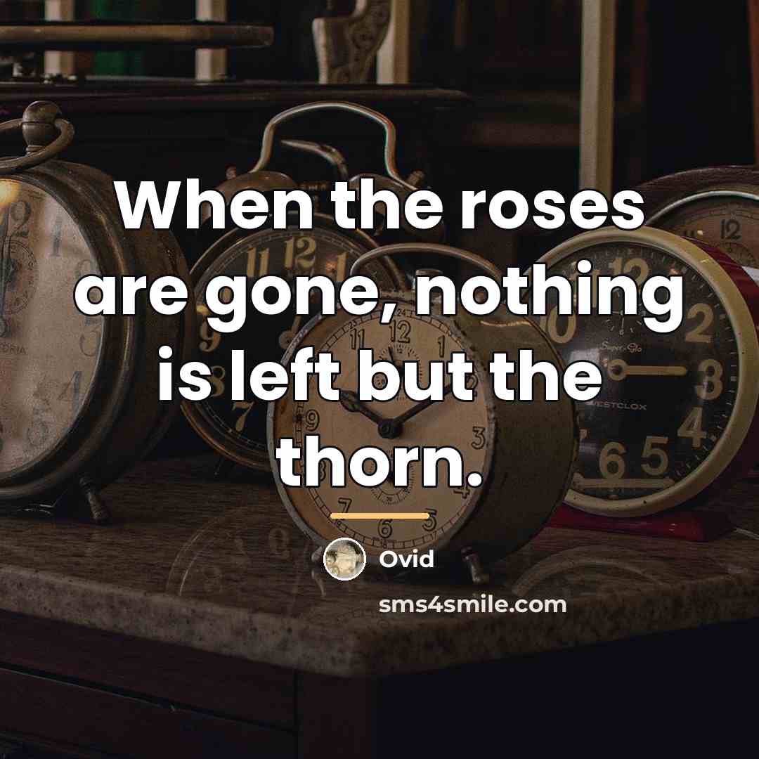 “When the roses are gone, nothing is left but the…” quote by Ovid