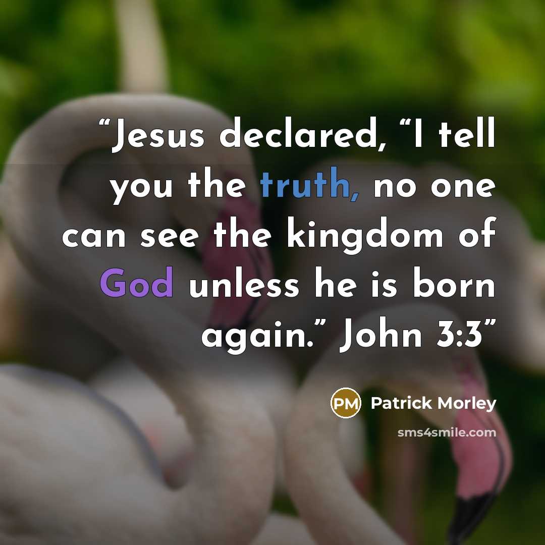 “Jesus declared, “I tell you the truth, no one can see the kingdom of God unless he is born again.” John 3:3” quote by Patrick Morley