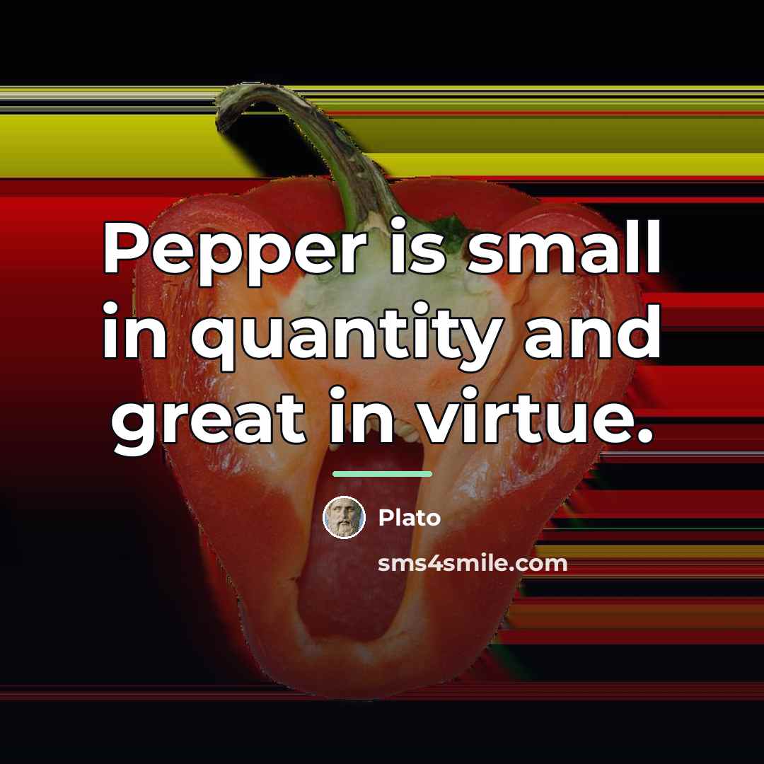 “Pepper is small in quantity and great in virtue.…” quote by Plato