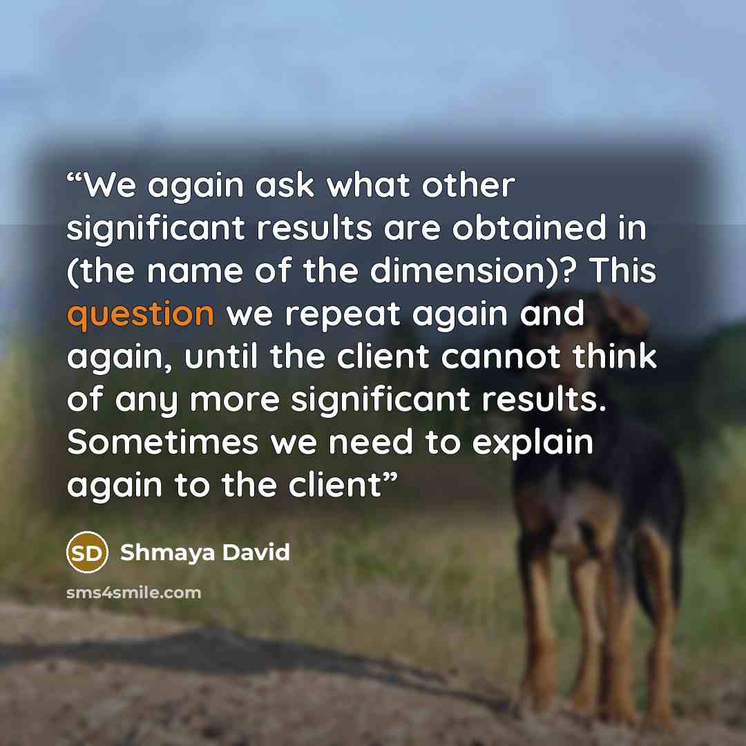 “We again ask what other significant results are obtained in (the name of the dimension)? This question we repeat again and again, until the client cannot think of any more significant results. Sometimes we need to explain again to the client” quote by Shmaya David