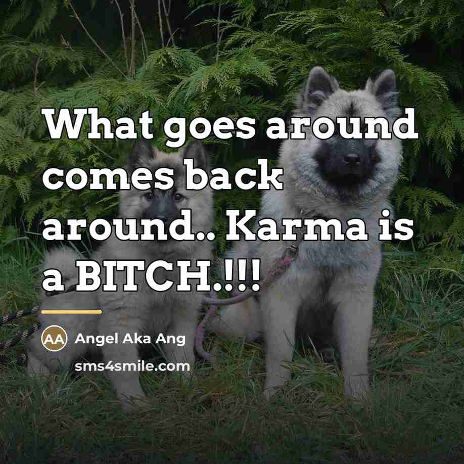 “What goes around comes back around.. Karma is a BITCH.!!!…” quote by Angel Aka Ang